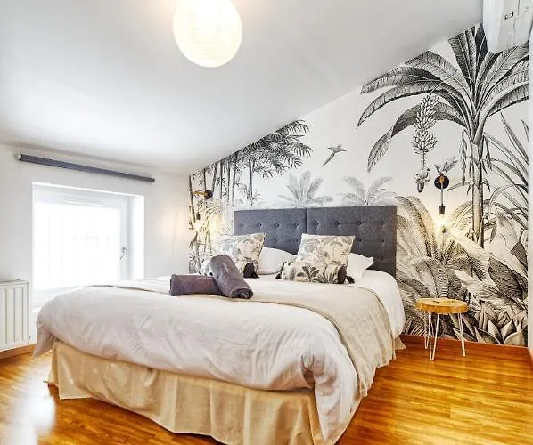 Appartement Le Raphael Centre Historique *